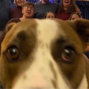 Meet your Posher, Theresa